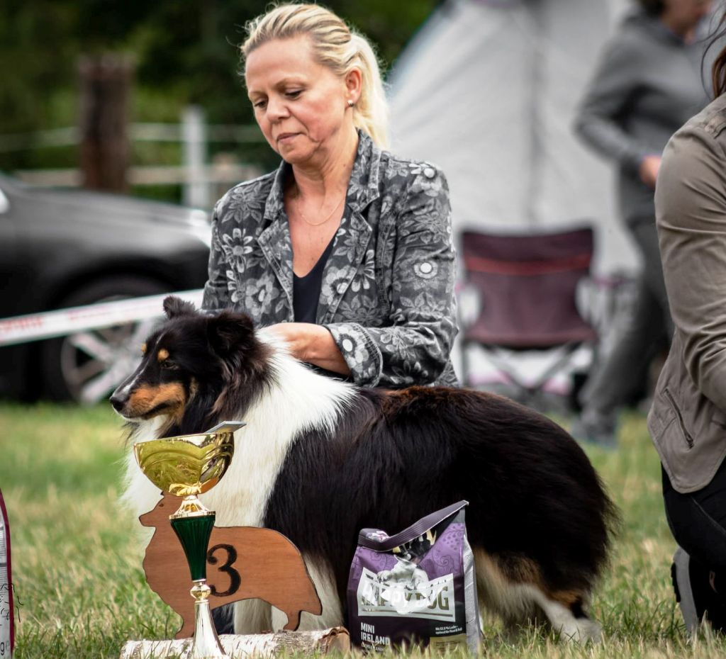 CH. Ring d'honneur rigolo des Jardins de Becky